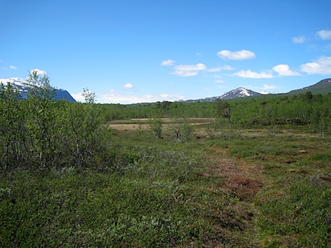 Abisko Juni 2009 dag 5 - 09.jpg